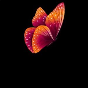 Meet your Posher, Angie